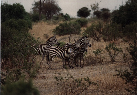 Dr Mark Moore - Missionary Work in Tanzania and Kilimanjaro