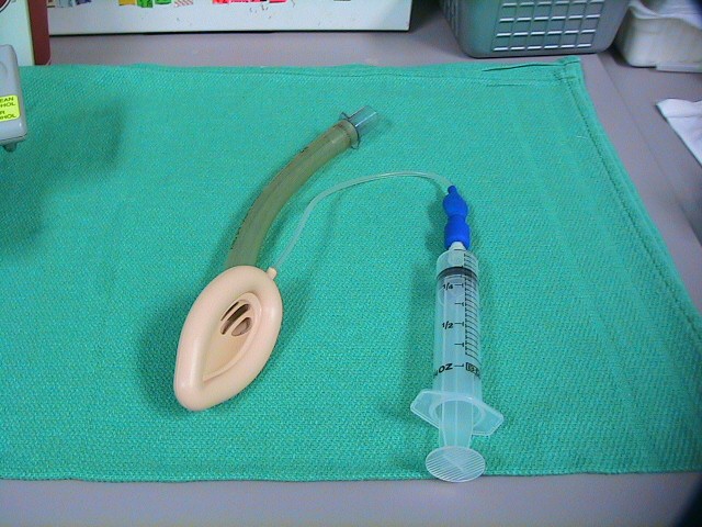 LMA - Laryngeal Mask Airway